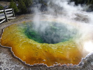 Morning Glory Pool